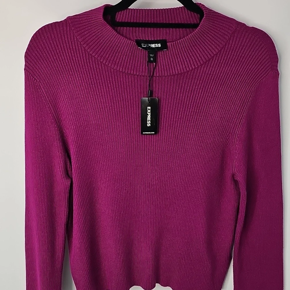 Express Ribbed Mock Turtleneck Cropped‎ Knit Sweater Top Fuchsia Pink